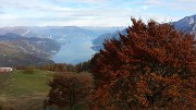 Rifugio SEV ai Corni di Canzo – Domenica 25 ottobre 2015   - FOTOGALLERY